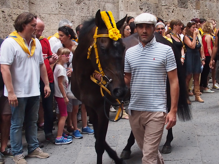Il Palio di Siena festival